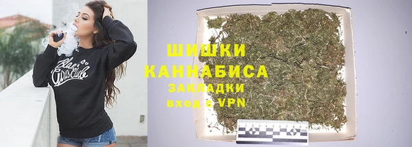 шишки Медногорск
