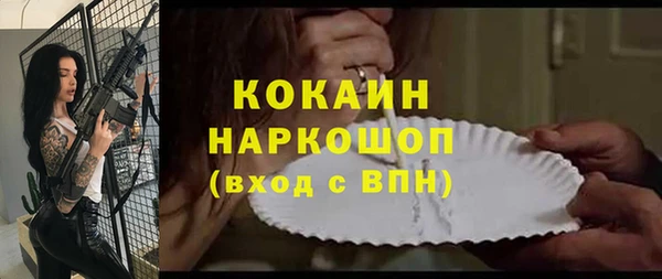шишки Медногорск