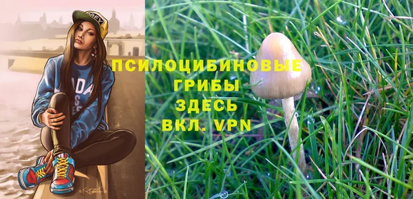 шишки Медногорск