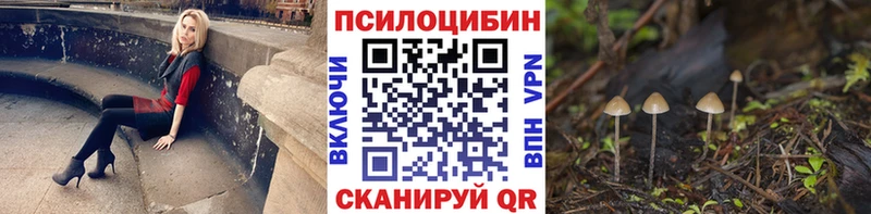 Псилоцибиновые грибы Psilocybine cubensis  Питкяранта 
